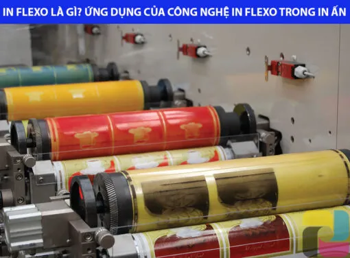 ƯU NHƯỢC ĐIỂM VÀ ỨNG DỤNG CÔNG NGHỆ IN FLEXO TRONG IN ẤN