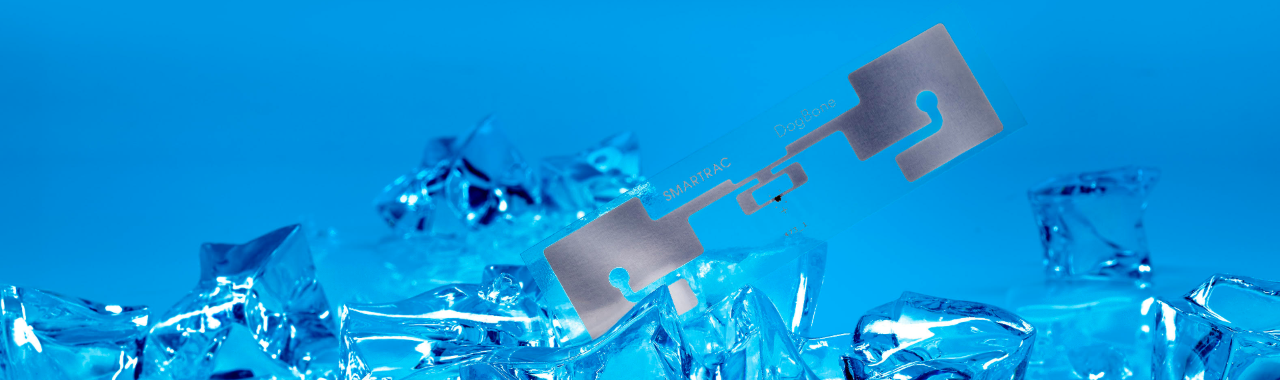 Sản Phẩm và Giải Pháp