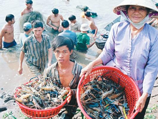 Ứng dụng RFID trong lĩnh vực nuôi trồng thủy hải sản